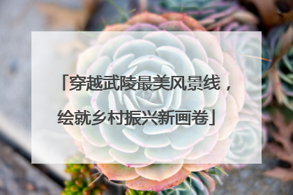 穿越武陵最美风景线，绘就乡村振兴新画卷
