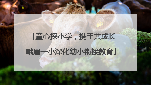 童心探小学，携手共成长 峨眉一小深化幼小衔接教育