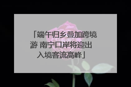 端午归乡叠加跨境游 南宁口岸将迎出入境客流高峰