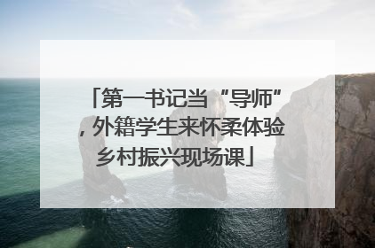 第一书记当“导师”，外籍学生来怀柔体验乡村振兴现场课