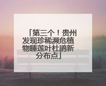 第三个！贵州发现珍稀濒危植物睡莲叶杜鹃新分布点