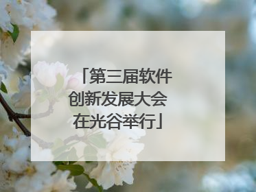 第三届软件创新发展大会在光谷举行