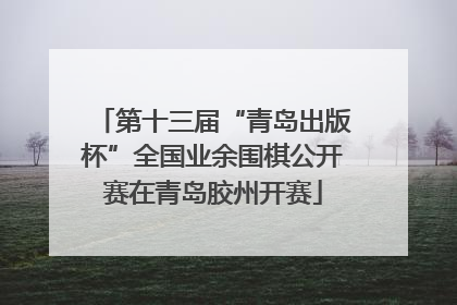 第十三届“青岛出版杯”全国业余围棋公开赛在青岛胶州开赛