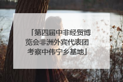 第四届中非经贸博览会非洲外宾代表团考察中伟宁乡基地