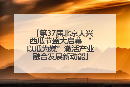 第37届北京大兴西瓜节盛大启幕 “以瓜为媒”激活产业融合发展新动能