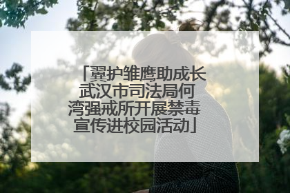 翼护雏鹰助成长 武汉市司法局何湾强戒所开展禁毒宣传进校园活动