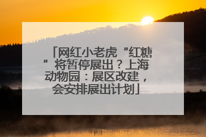 网红小老虎“红糖”将暂停展出？上海动物园：展区改建，会安排展出计划