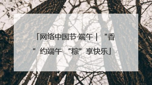 网络中国节·端午｜“香”约端午 “粽”享快乐