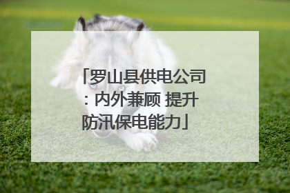 罗山县供电公司：内外兼顾 提升防汛保电能力