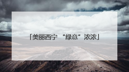 美丽西宁 “绿意”浓浓