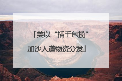 美以“插手包揽”加沙人道物资分发