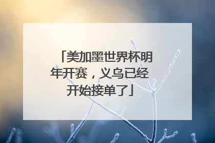 美加墨世界杯明年开赛，义乌已经开始接单了