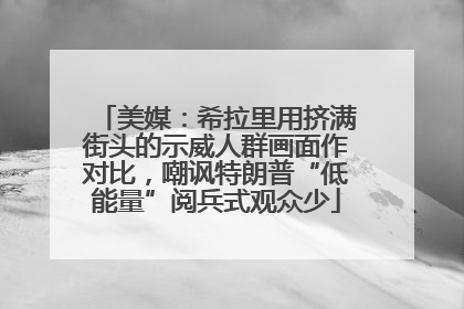 美媒：希拉里用挤满街头的示威人群画面作对比，嘲讽特朗普“低能量”阅兵式观众少