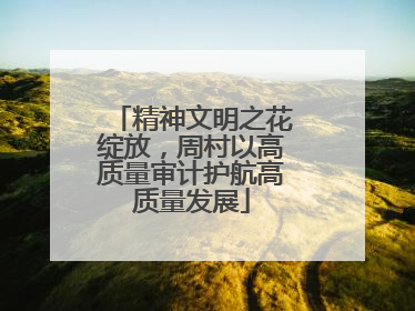 精神文明之花绽放，周村以高质量审计护航高质量发展