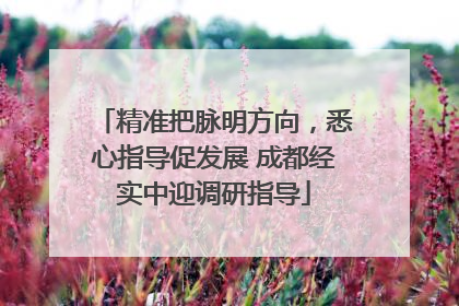 精准把脉明方向，悉心指导促发展 成都经实中迎调研指导