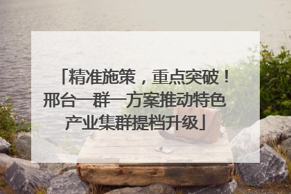 精准施策，重点突破！邢台一群一方案推动特色产业集群提档升级