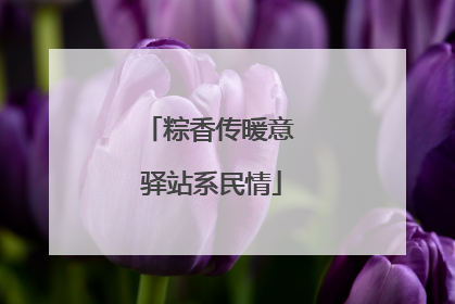 粽香传暖意 驿站系民情