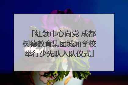 红领巾心向党 成都树德教育集团城厢学校举行少先队入队仪式