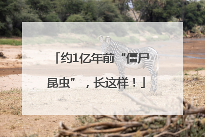 约1亿年前“僵尸昆虫”，长这样！