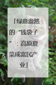 绿意盎然的“钱袋子”：高原夏菜成富民产业