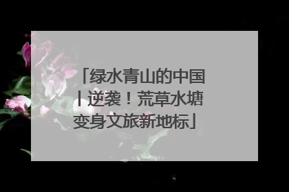绿水青山的中国丨逆袭！荒草水塘变身文旅新地标