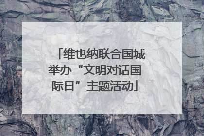 维也纳联合国城举办“文明对话国际日”主题活动