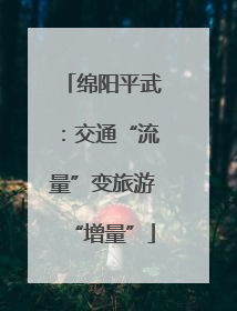 绵阳平武：交通“流量”变旅游“增量”