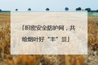 织密安全防护网，共绘烟叶好“丰”景