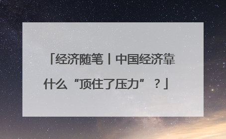 经济随笔丨中国经济靠什么“顶住了压力”？