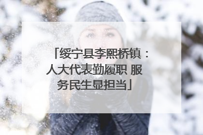 绥宁县李熙桥镇：人大代表勤履职 服务民生显担当