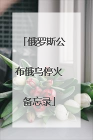 俄罗斯公布俄乌停火备忘录