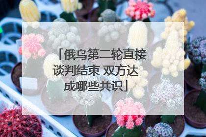 俄乌第二轮直接谈判结束 双方达成哪些共识