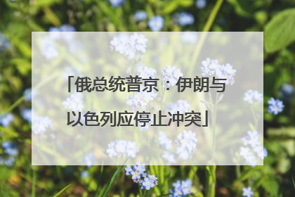 俄总统普京：伊朗与以色列应停止冲突