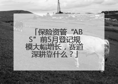 保险资管“ABS”前5月登记规模大幅增长，赛道深耕靠什么？