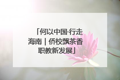 何以中国·行走海南｜侨校飘茶香 职教新发展