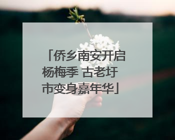 侨乡南安开启杨梅季 古老圩市变身嘉年华