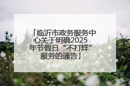 临沂市政务服务中心关于明确2025年节假日“不打烊”服务的通告