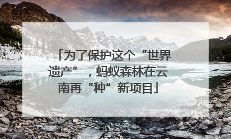 为了保护这个“世界遗产”，蚂蚁森林在云南再“种”新项目