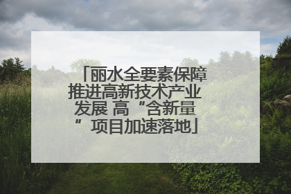 丽水全要素保障推进高新技术产业发展 高“含新量”项目加速落地