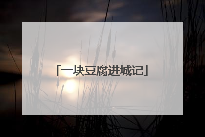一块豆腐进城记