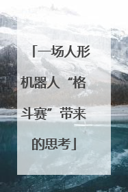 一场人形机器人“格斗赛”带来的思考