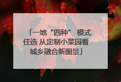 一地“四种” 模式任选 从定制小菜园看城乡融合新图景