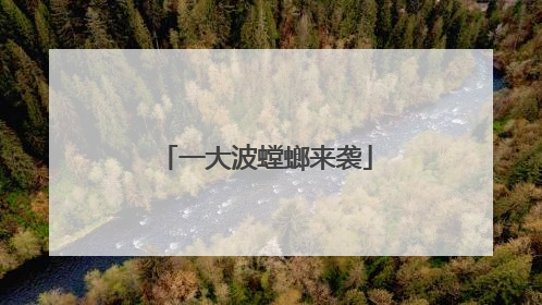 一大波螳螂来袭