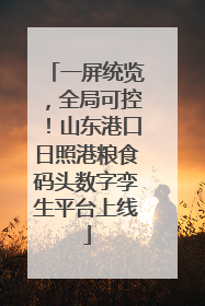 一屏统览，全局可控！山东港口日照港粮食码头数字孪生平台上线