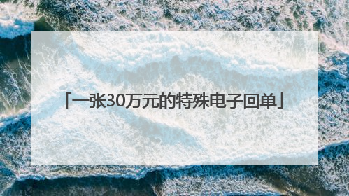 一张30万元的特殊电子回单