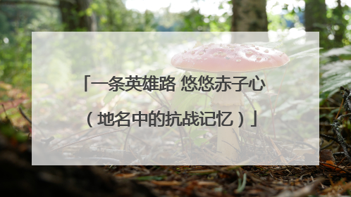 一条英雄路 悠悠赤子心（地名中的抗战记忆）