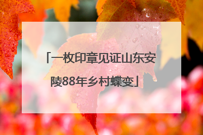 一枚印章见证山东安陵88年乡村蝶变