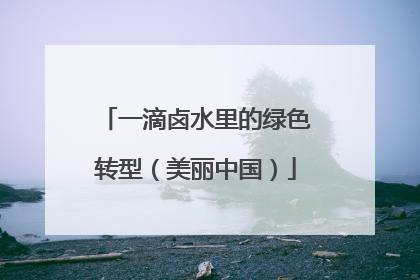 一滴卤水里的绿色转型（美丽中国）