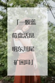 一颗蓝莓盘活昆明东川尾矿困局
