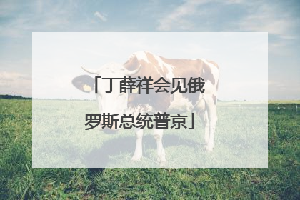 丁薛祥会见俄罗斯总统普京